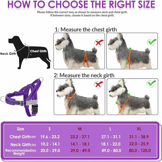Lukovee No Pull Dog Harness and Leash Set - Adjustable Soft Padded Vest with Front Clip for Easy Control, Reflective Durable Harness for Safe Daily Training Walking for Medium Large Dogs (M, PU)