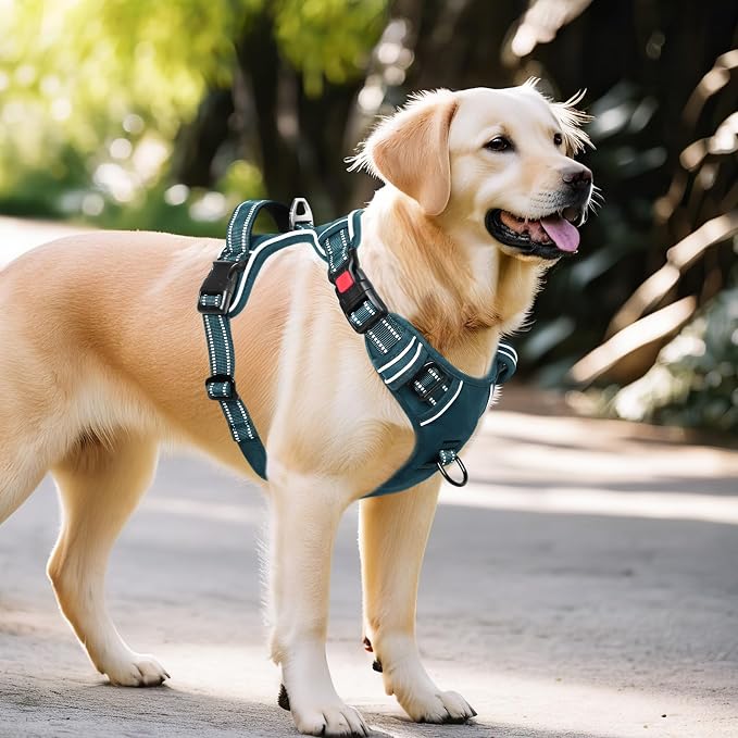 Timos Dog Harness Large Sized, No Pull Pet Harness with Neck Lockable Snap, No Choke Front Clip Reflective Vest, Adjustable Metal Rings 3 Buckles, Easy Control Handle for Large Dogs Blackish Green L