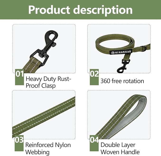 Reflective 6 FT Dog Leash, Premium Traditional Style Puppy Leash with Easy to Use Collar Hook for Small, Medium, and Large Breed Puppies (Green, 3/4 in x 6 ft)