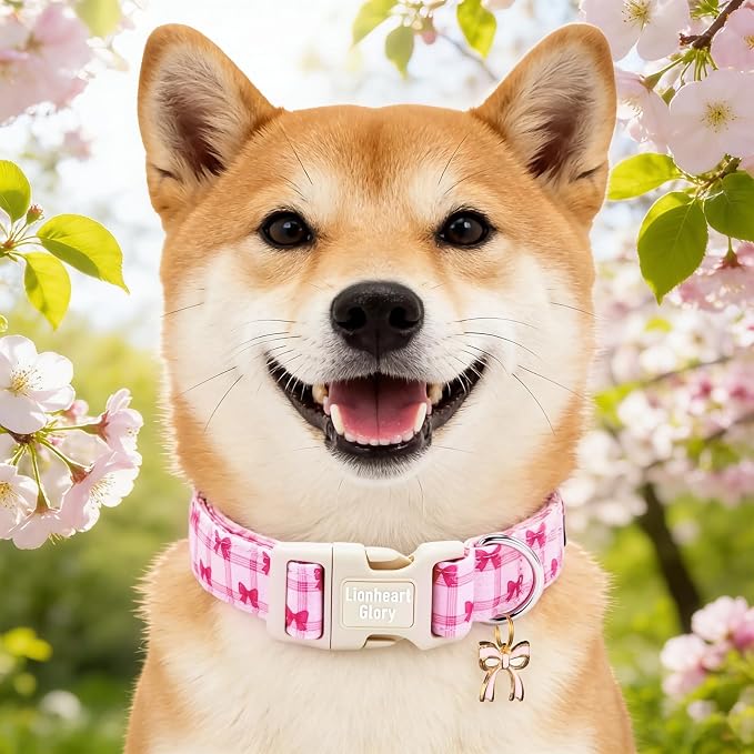Lionheart glory Dog Collar - Cute Dog Collars Adjustable Soft Collars Pink Dogs Collar Bow for X-Small Dogs Puppy Girl/Boy Pet Spring Holiday