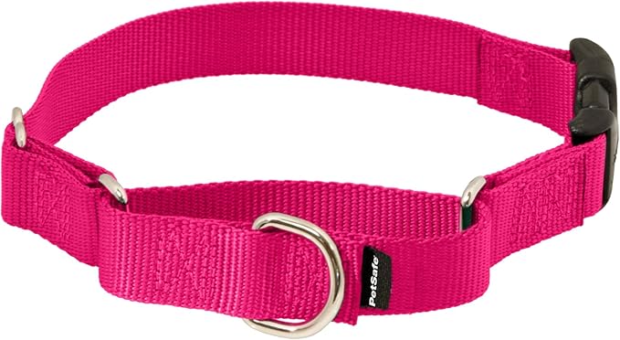 PetSafe Martingale Dog Collar with Quick-Snap Buckle - Medium, 1 Inch, Raspberry