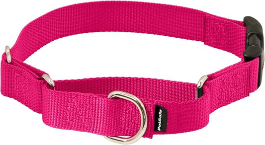 PetSafe Martingale Dog Collar with Quick-Snap Buckle - Medium, 1 Inch, Raspberry