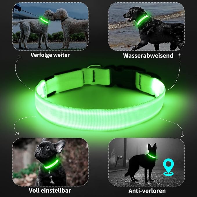 Light Up Dog Collar, Rechargeable USB Collar, Waterproof, Luminous LED Collar, Adjustable, Super Bright, Night Walking for Small Medium Large Dogs, Green, M