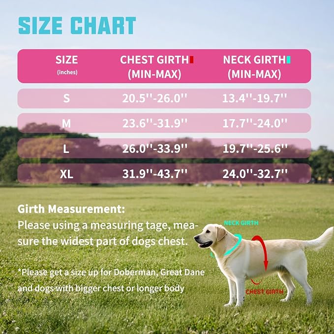 AUROTH Dog Harness and Leash Set, Soft Padded Service Dog Vest with 5.25FT Dog Leash, No Choke, Easy On Pet Vest, Adjustable Reflective No Pull Dog Harness for Large Dogs, Easy Walking and Training