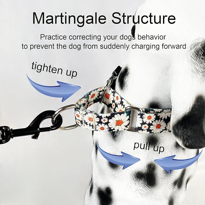 Martingale Collar for Dogs Flower Dog Collar with Quick Release Buckle Adjustable Nylon Soft Dog Collars for XSmall Dogs, Daisy