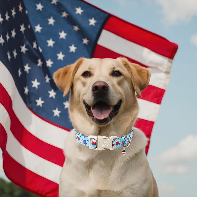 Maca Bates 4th of July Basic Dog Collar with Icecream Charm American Flag Patriotic 4 of 7 Pattern,Small for Boy Girl,Adjustable Durable Blue Independence Day Gift for Male Female Puppy