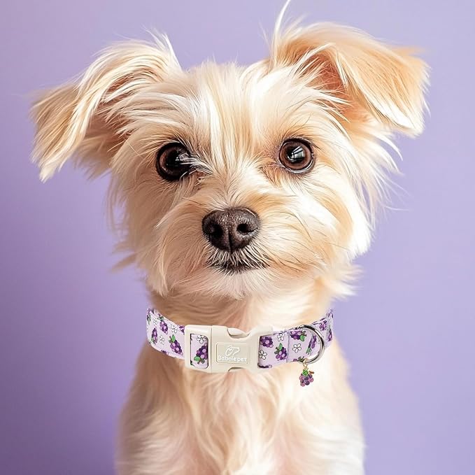 Summer Dog Collar Cute Grape Dog Collars for Large Dogs - Lightweight Adjustable Boy Girl Dogs Everyday Collar with Quick Release Buckle L