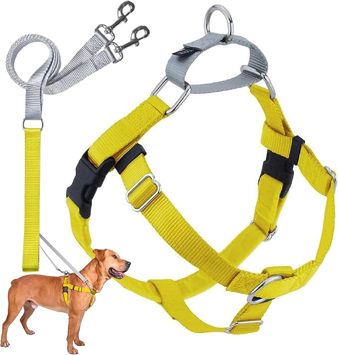 2 Hounds Design Freedom No Pull Dog Harness, Adjustable Harness and Leash Set, Easy Walking & Comfortable Control, Fits Small, Medium & Large Dogs, Solid Colors, Made in USA, 1" MD, Yellow
