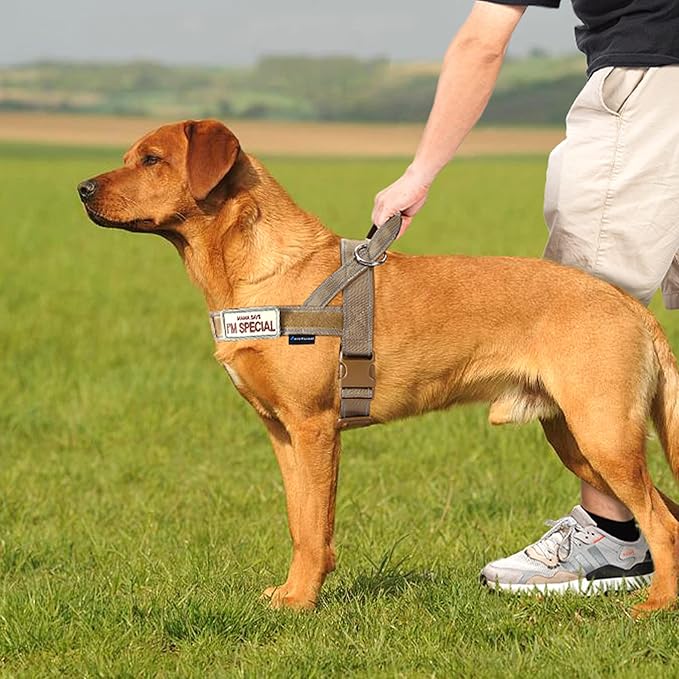 Annchwool No Pull Dog Harness with Soft Padded Handle,Reflective Strip Escape Proof and Quick Fit to Adjust Dog Harness,Easy for Training Walking for Small & Medium and Large Dogs(Brown,L)