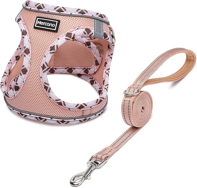 Mercano Soft Mesh Dog Harness and Leash Set, Step-in Reflective Breathable Lightweight Vest Harnesses with Safety Buckle for Small Dogs, Cats (Champagne, XXS)
