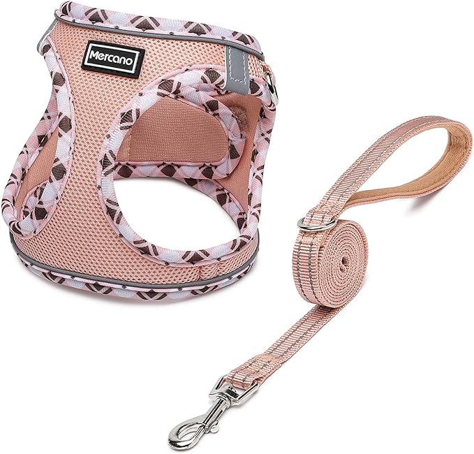 Mercano Soft Mesh Dog Harness and Leash Set, Step-in Reflective Breathable Lightweight Vest Harnesses with Safety Buckle for Small Dogs, Cats (Champagne, XL)