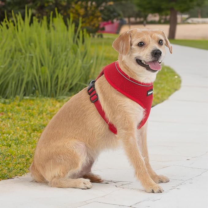 Best Pet Supplies Voyager Aerolite Over the Head Dog Harness, No Pull Breathable Air Mesh Vest, Quick Dry with Reflective Stitching, Adjustable Escape Resistant Harness - Red, Medium