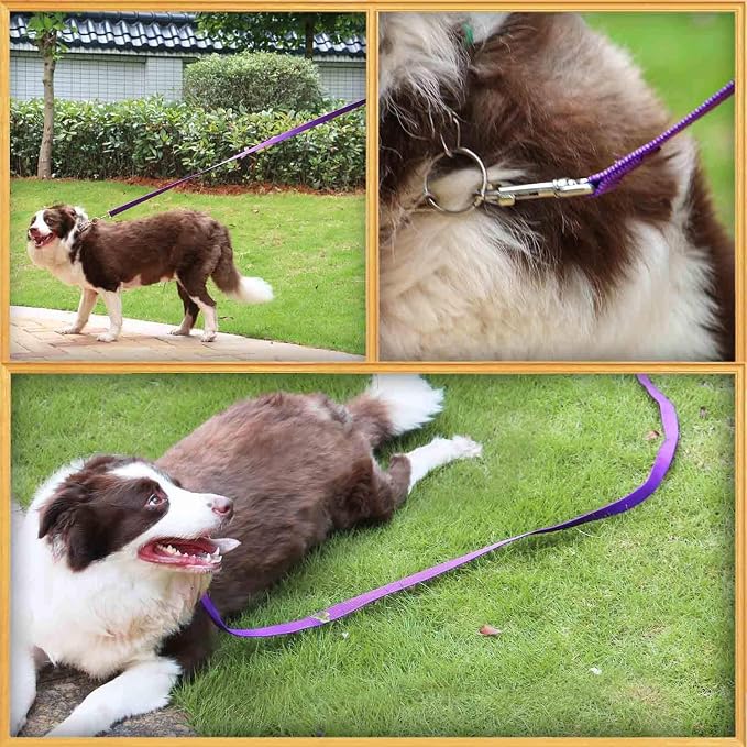 AMAGOOD 6 FT Puppy/Dog Leash, Strong and Durable Traditional Style Leash with Easy to Use Collar Hook, Great for Small, Medium and Large Dogs (3/4 in x 6 ft, Black and Purple (2-Pack))