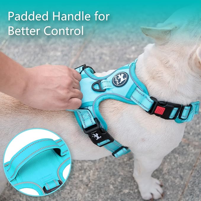PoyPet No Pull Dog Harness, No Choke Reflective Dog Vest, Adjustable Pet Harnesses with Easy Control Padded Handle for Small Medium Large Dogs(Mint Blue Matching Trim,XS)