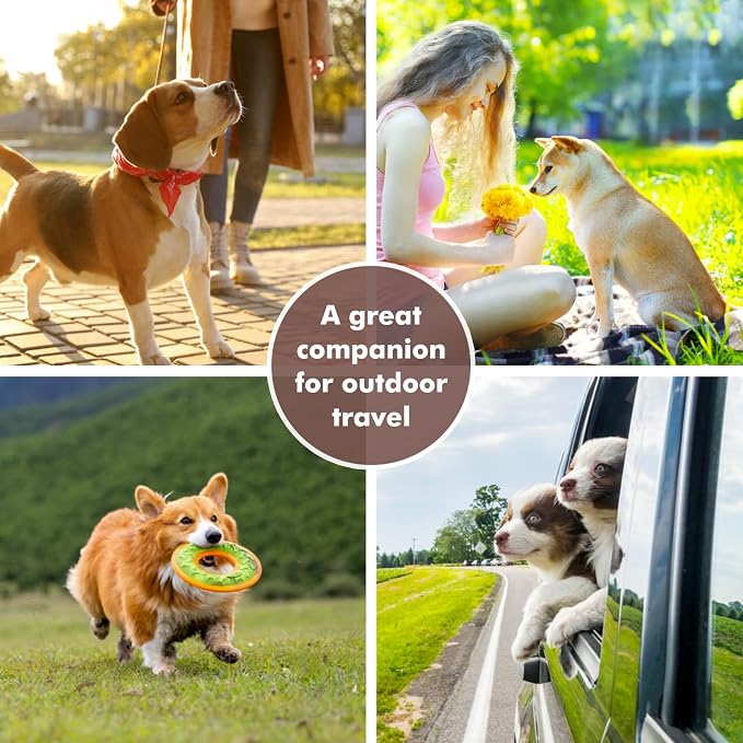 Collapsible Dog Bowls, Travel Food and Water Double Bowl for Cats & Dogs, 2-in-1 Portable BPA-Free Feeding Solution, Perfect for Traveling, Camping & Walking (S/ 60oz)