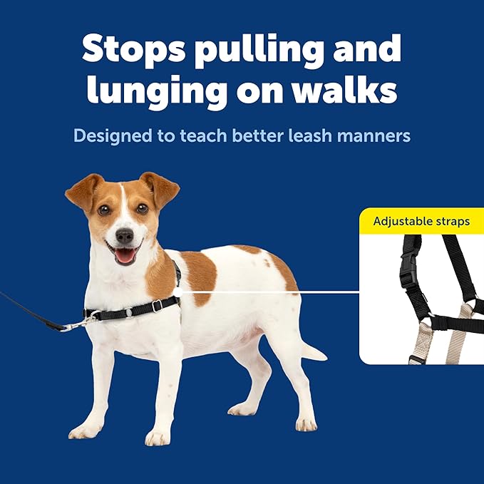 PetSafe Easy Walk No-Pull Dog Harness - Ultimate Harness to Help Stop Pulling - Pull-Free Walks - Take Control & Teach Better Leash Manners - Patented Martingale Loop Design - Black, Small