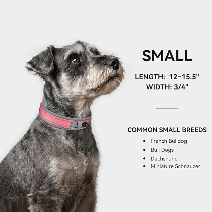 Joytale Dog Collar for Small Dogs, Neoprene Padded and Adjustable, Reflective Wide Heavy Duty Pet Collars with Durable Metal Belt Buckle for Walking, Pink, S