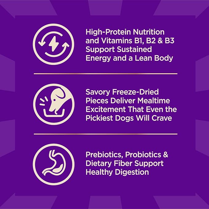 Wellness CORE+ Small Breed Adult Dry Dog Food with Freeze Dried Pieces, Grain Free Kibble+, Natural, High Protein, Turkey and Chicken Recipe, 4 lb Bag