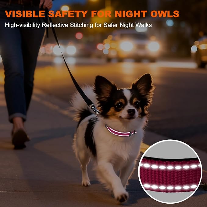 Taglory Reflective Dog Collar for Puppies with Escape-Proof Locking Buckle, Soft Neoprene Padded and Upgraded Zinc Alloy Ring, Adjustable for Chihuahua Yorkie, Hotpink,XS