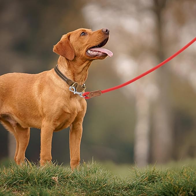 Mile High Life Leather Dog Leash, Heavy Duty Strong Genuine Leather Handle Rope Leash Soft and Comfortable for Small Medium Large Dogs (Red, 48 Inch)