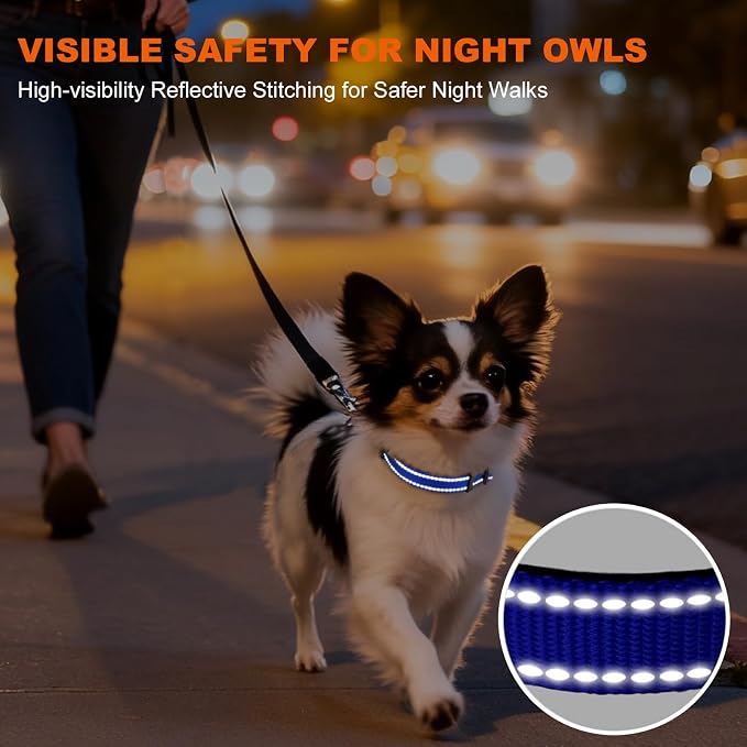 Taglory Reflective Dog Collar for Puppies with Escape-Proof Locking Buckle, Soft Neoprene Padded and Upgraded Zinc Alloy Ring, Adjustable for Chihuahua Yorkie, Blue,XS