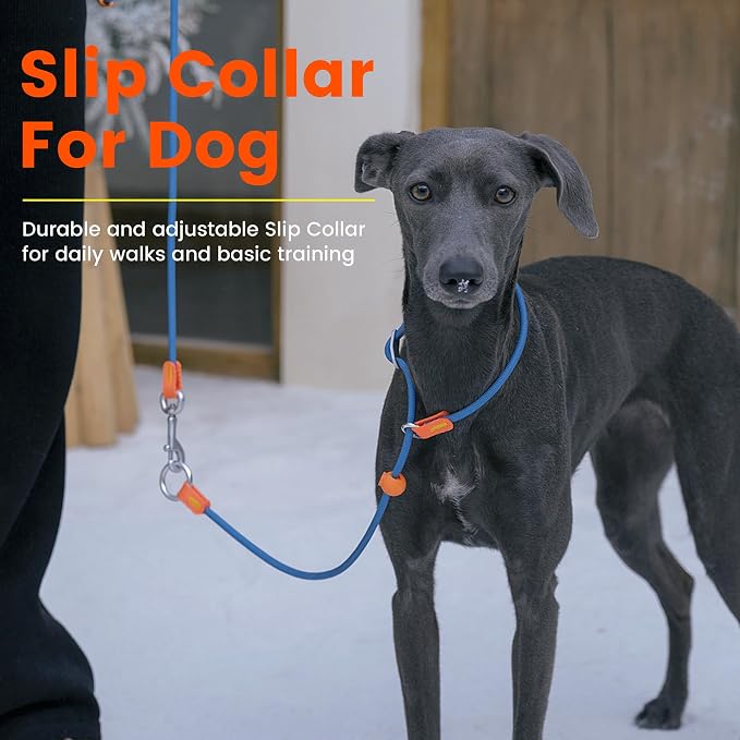 HowGo Slip Collar for Dogs,No Pull Adjustable Martingale Collar for Training, Nylon Rope,Dual Stopper and Durable Aluminum Hardware,Spring-Loaded,for Small Medium Large Dogs(Orange)