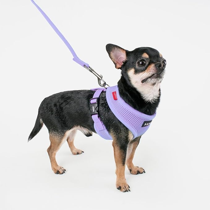 Puppia Soft Dog Harness No Choke Over-The-Head Triple Layered Breathable Mesh Adjustable Chest Belt and Quick-Release Buckle, Violet, X-Large