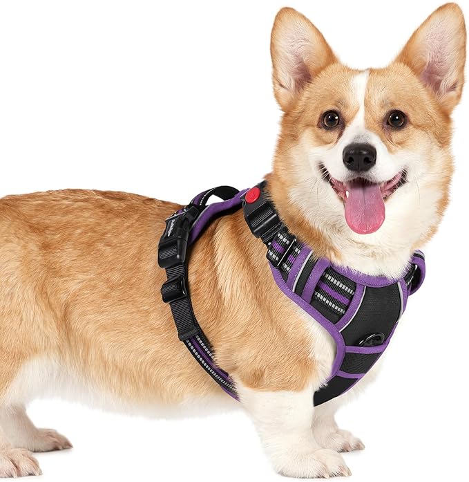 rabbitgoo Dog Harness Small Sized, No Pull Easy On & Off with 3 Buckles Pet Harness, Adjustable Soft Walking Vest with 2 Clips and Handle, Reflective for Small Dogs, Black & Purple, S