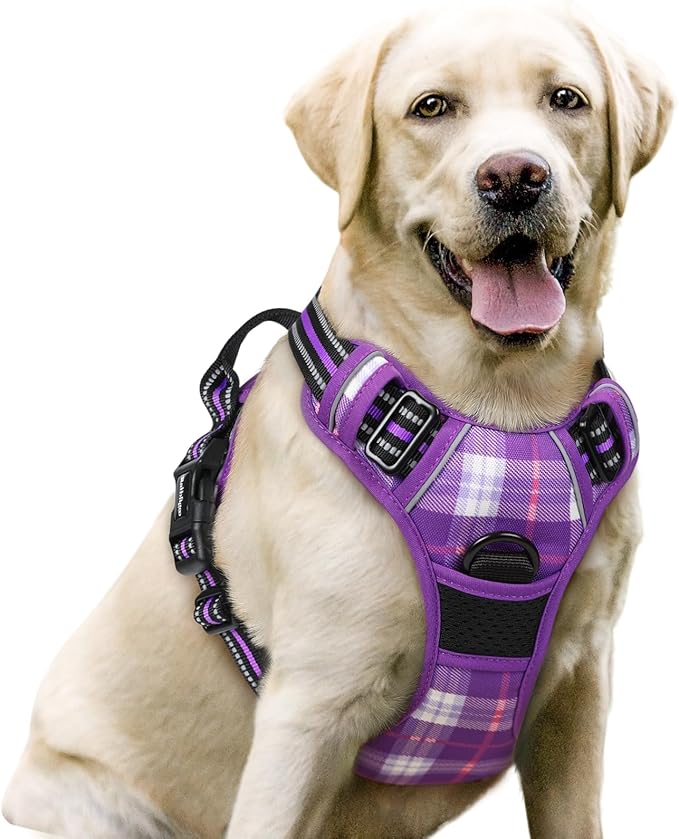 rabbitgoo Dog Harness No Pull with 2 Leash Clips, Adjustable Soft Padded, Reflective Oxford No Choke Pet Vest with Easy Control Handle for Large Dogs, Purple Plaid, L