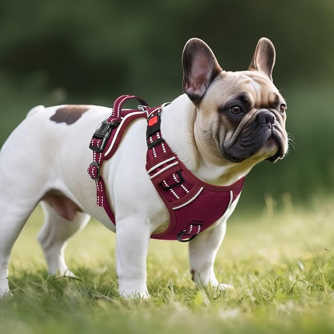 Timos Dog Harness Small Sized, No Pull Pet Harness with Neck Lockable Snap, No Choke Front Clip Reflective Vest, Adjustable Metal Rings 3 Buckles, Easy Control Handle for Small Dogs Burgundy S