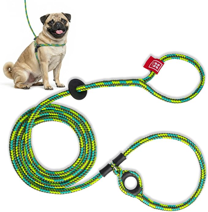 Harness Lead No Pull Dog Harness and Leash Set, Anti Pull Dog Harness, One-Piece Cushioned Rope Safely Prevents Escaping and Pulling (Small/Medium, Rainforest)