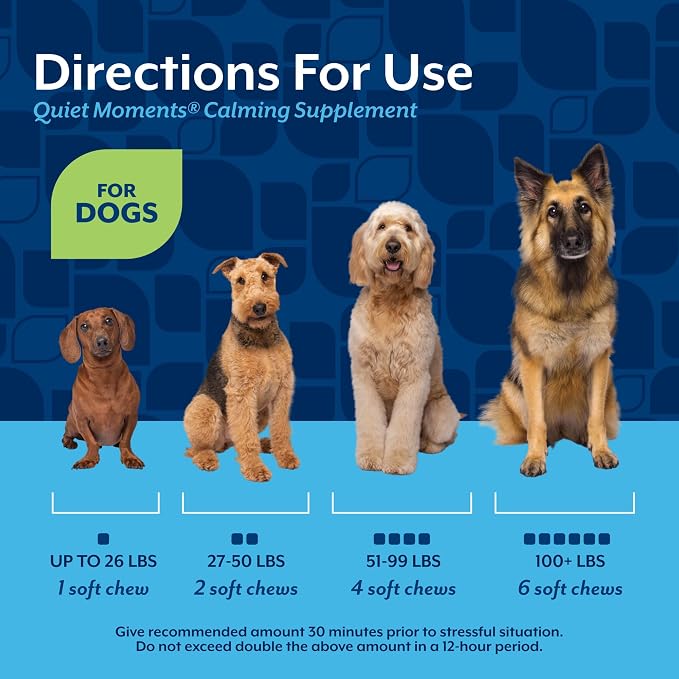 NaturVet Quiet Moments Calming Dog Supplement, Dog Soft Chews with Melatonin to Help Reduce Stress from Storms, the Vet, Fireworks, and Travel, Bacon and Chicken Flavored Pet Supplement, 65 Count