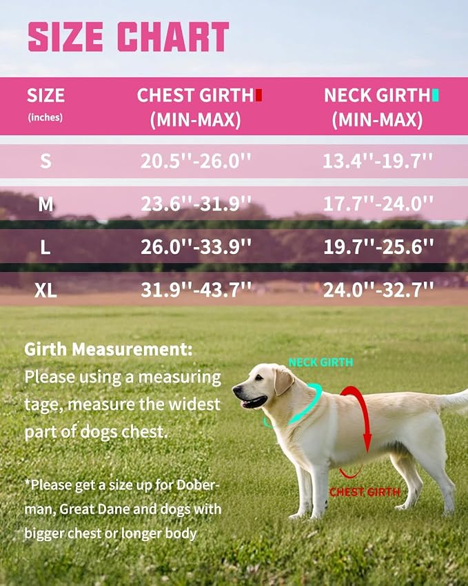 AUROTH Dog Harness and Leash Set, Soft Padded Service Dog Vest with 5.25FT Dog Leash, No Choke, Easy On Pet Vest, Adjustable Reflective No Pull Dog Harness Small Sized Dog, Easy Walking and Training