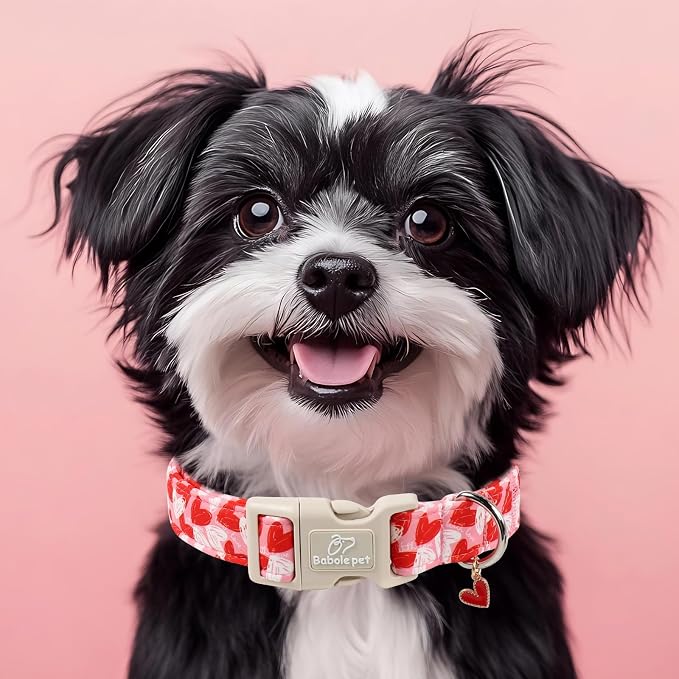 Valentines Dog Collar for Small Dogs - Cute Pink Girl Dog Collar, Doodle Heart Pattern, Adjustable Valentine Dog Collars with Red Heart Charm S