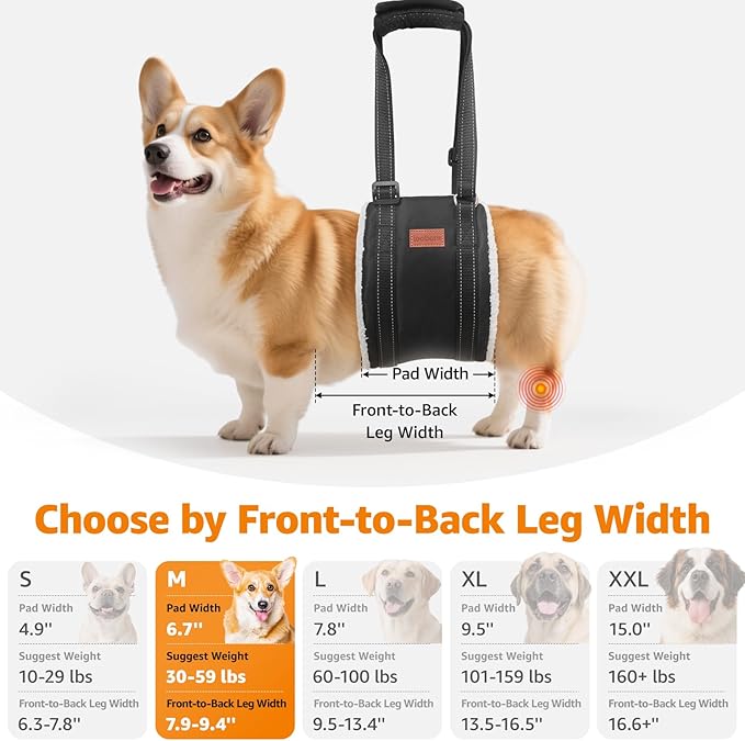 LOOBANI Dog Sling for Medium Dogs Hind Leg Support, Portable Dog Lift Harness for Back Legs, Comfortable Leg Support Assistance for Elderly Dogs with Hip, ACL Brace, Senior, Injured