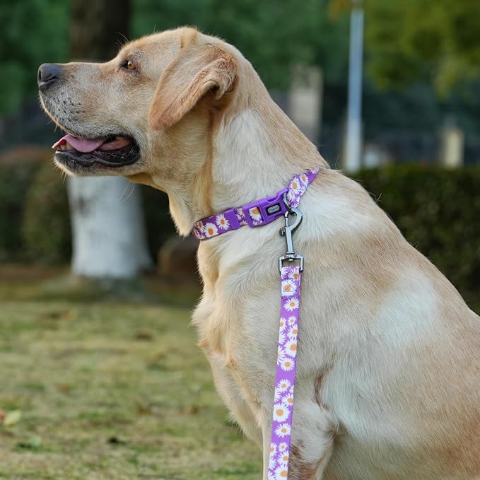 Dog Collar and Leash Set, Cute Daisy Pattern, Polyester Material, 5ft Leash, for Small Dogs.(Small,Purple Daisy)