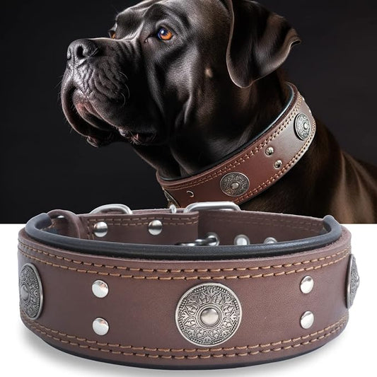 Genuine Leather Dog Collar for Large Dogs,2 in Wide Heavy Duty,BN-S | Handmade,Stainless Steel Pin Buckle,Soft Padded,Alloy Studded,Luxury Eye-catching Design,Medium Large Giant Breeds,15-19 in