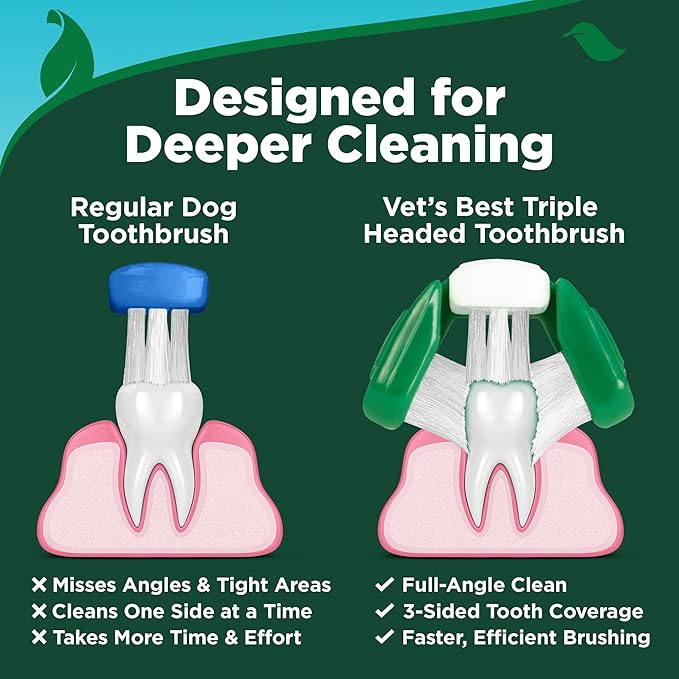 Vet's Best Dog Toothpaste & Toothbrush Kit for Puppies – Puppy Essentials – Dog Toothbrush & Toothpaste for Young Dogs- Perfect for Puppy Teething, Freshens Breath - Peanut Butter Flavor, 3.5 oz