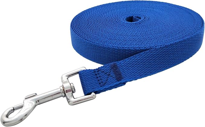 Nylon Training Dog Leash for Small Medium Large Dogs, 15ft 20ft 30ft 50ft Long Leash Dog/Puppy Lead for Obedience Recall Training, Camping (1" x 15ft, Blue)
