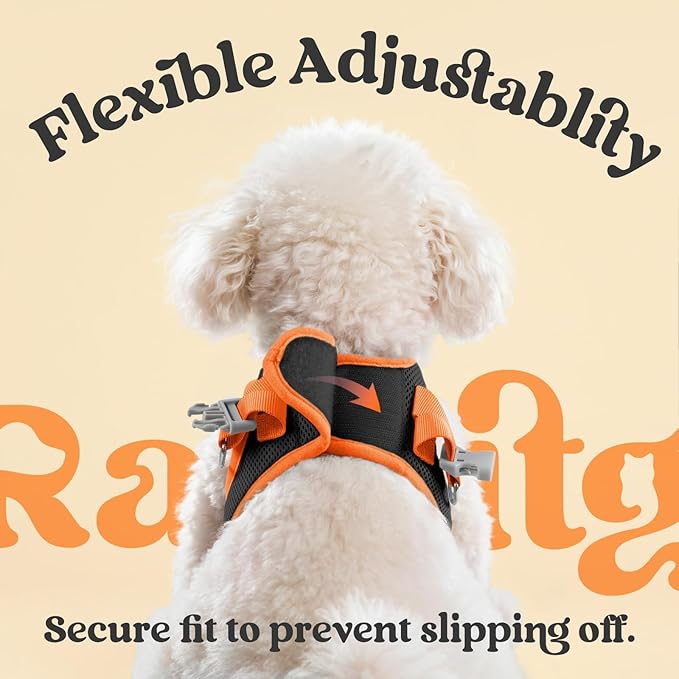 rabbitgoo Dog Harness Small Sized and Leash Set, Step-in Breathable Pet Harness, Soft Walking Reflective Puppy Vest for Small Dogs, Black & Orange, S