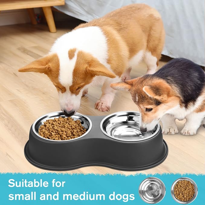 Epetslove Dog Bowls Double Dog Water and Food Bowl Stainless Steel Bowl with Non-Slip Resin Station, Pet Feeder Bowls for Puppy Medium Dogs Cats