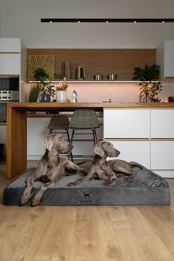 NOAH & PAW Giant Dog Bed XXL 55x45x9.5 Inch, Orthopedic Dog Beds, Eggshell Memory Foam Infused with Cooling Gel, Water Resistant, Machine Washable, Includes Inner Cover (Velvet Collection)