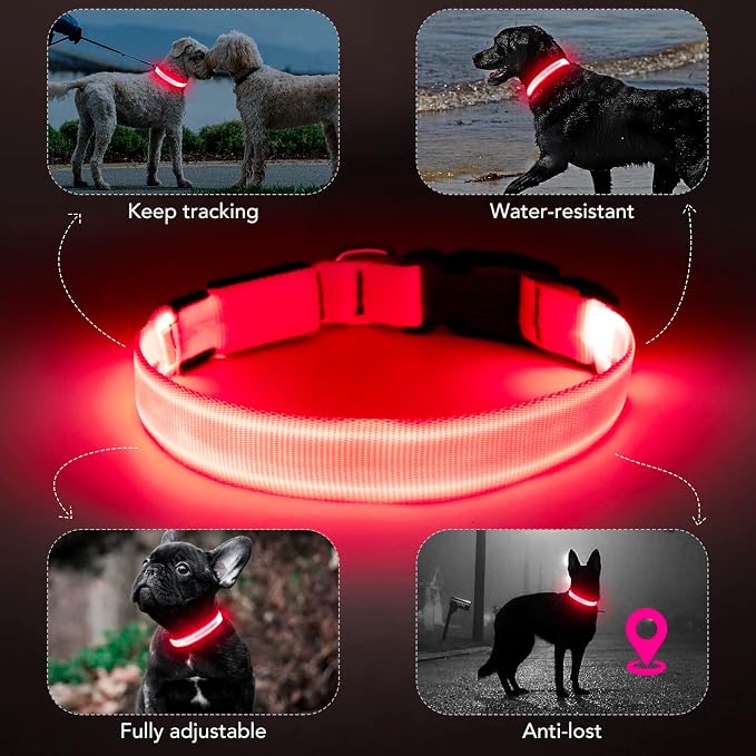 Light Up Dog Collar, Rechargeable USB Collar, Waterproof, Luminous LED Collar, Adjustable, Super Bright, Night Walking for Small Medium Large Dogs, Pink, L