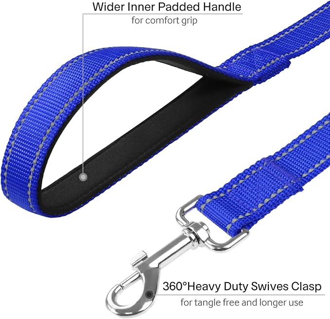 FunTags 6FT Royal Blue Reflective Dog Leash for Medium & Small Dogs Walking, Soft Padded Handle Comfortable Grip, Heavy Duty Nylon, Reflective for Night Walking, 3/4in Wide