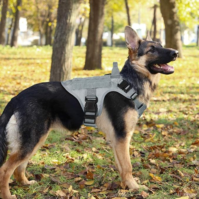 rabbitgoo Tactical Dog Harness for Large, Heavy Duty Pet Harness with Handle, No-Pull Service Vest Large Breed, Adjustable Military Dog Vest for Training Hunting Walking, Grey, L