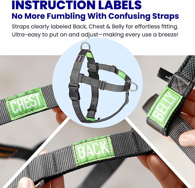 Freedom No Pull Dog Harness for Large Dogs, Easy Walker, Front Clip, Anti Pull with Two Stainless D-Rings, Comfortable, Sewn-in Instructions Tags for Easy Use (Black, XXL)