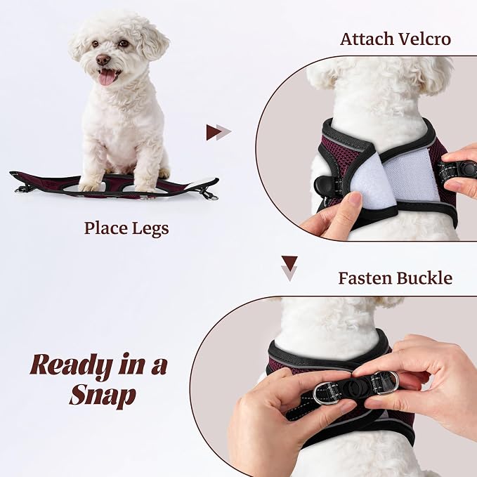 YIMEIS Dog Harness and Leash Set, No Pull Soft Mesh Pet Harness, Reflective Adjustable Puppy Vest for Small Medium Large Dogs, Cats (Grape Purple, Medium (Pack of 1)