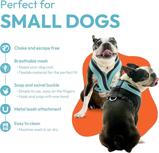Gooby Comfort X One Dog Harness - Head-in Dog Harness for Small & Medium Sized Dogs - Escape-Free & Choke Free - Breathable Mesh, Shock Absorbing, Easy Snap & Swivel Buckles - Portland Green, Small