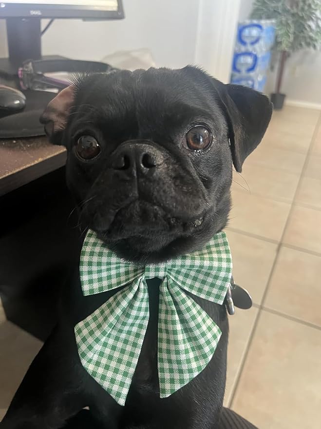 Lionet Paws Dog Collar with Sailor Bow, Durable Adjustable and Comfortable Green Bowtie Collar for Dogs, Medium, Neck 13.5-22in