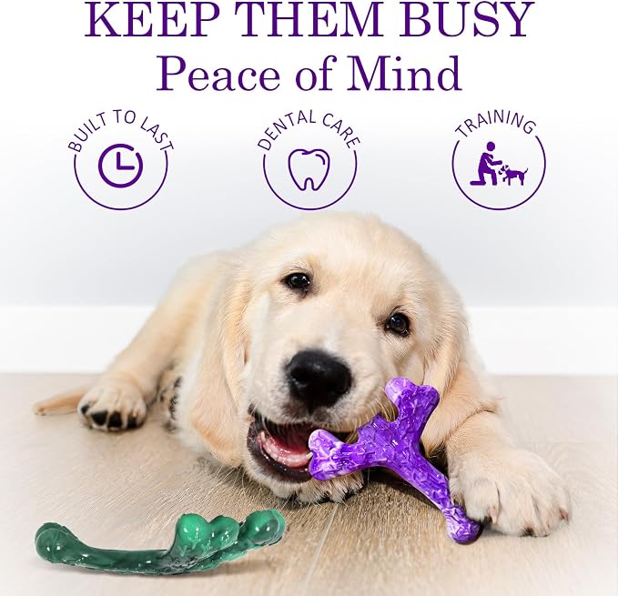 Frienhund 6 Pack (Cactus) Indestructible Tough Dog Toys for Aggressive Chewers: Beef Flavored Chew Bone for Large Dogs 20-90 lbs, Long Lasting & Keep Them Busy